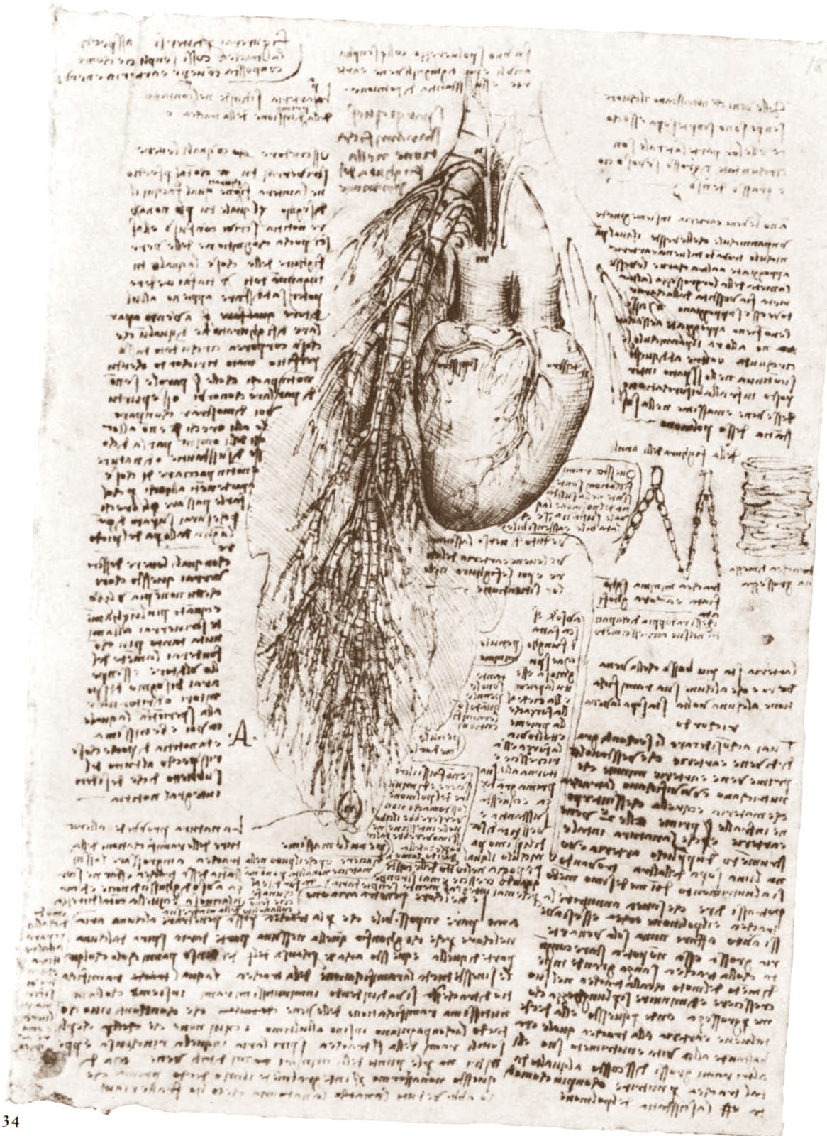 Leonardo+da+Vinci-1452-1519 (807).jpg